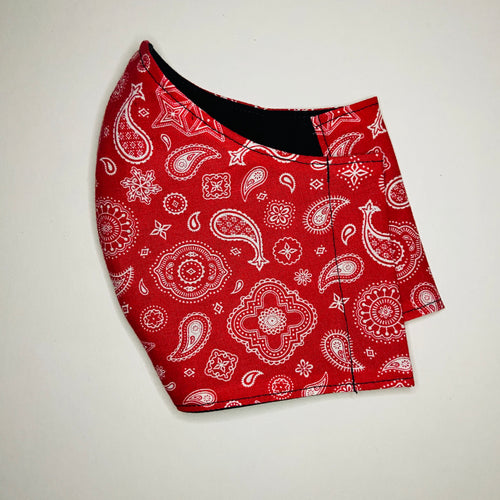 Red Paisley (Large)